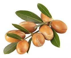 Argan Oil